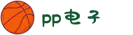 pp电子·(中国)官方网站